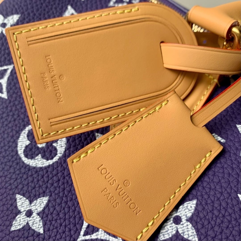 LV Travel Bags